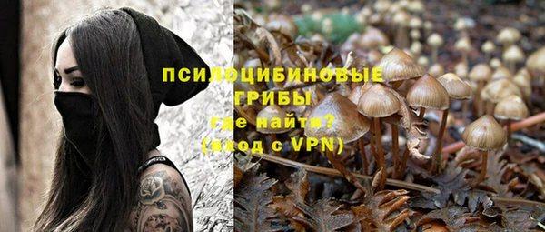 винт Богородицк
