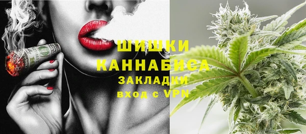 гашик Богданович