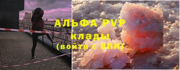 гашик Богданович