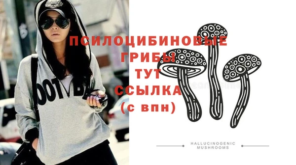 гашик Богданович