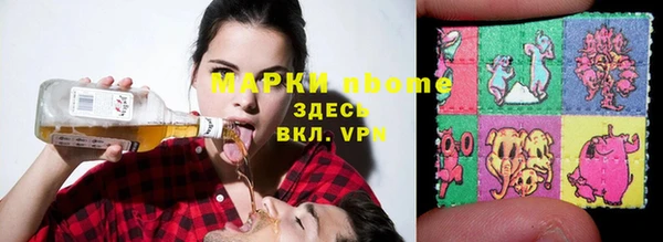 гашик Богданович